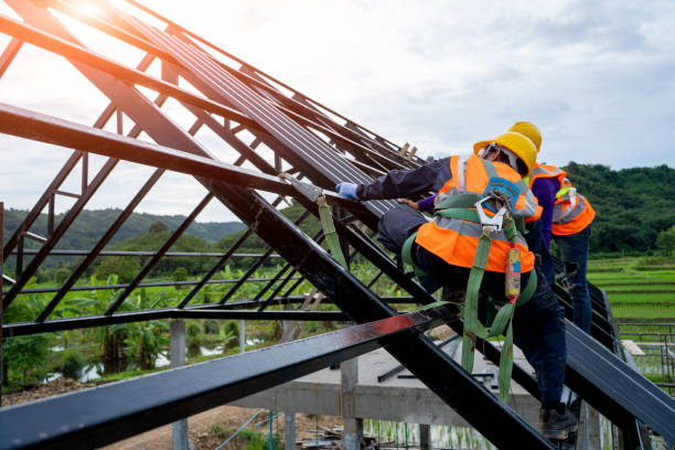 Best Storm Damage Roof Repair  in Holt, MI