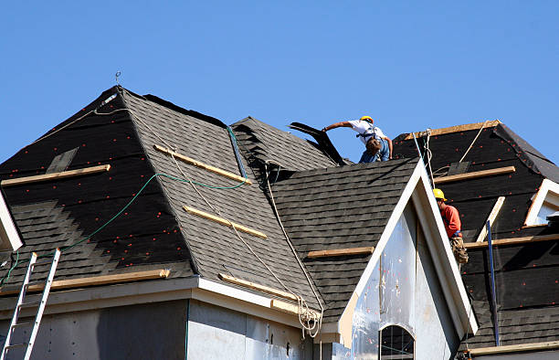 Best Storm Damage Roof Repair  in Holt, MI