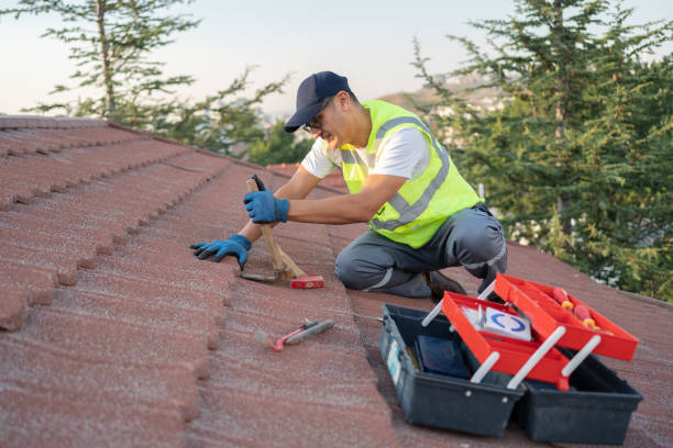 Best Emergency Roof Repair  in Holt, MI
