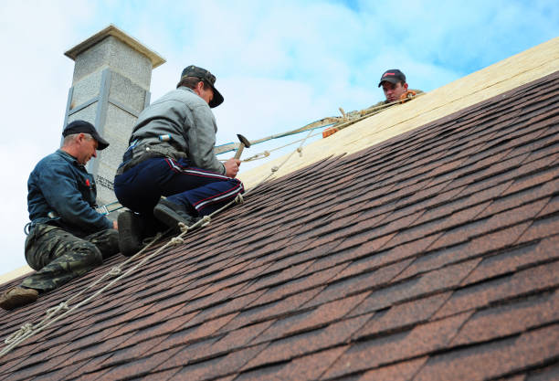 Roof Gutter Cleaning in Holt, MI
